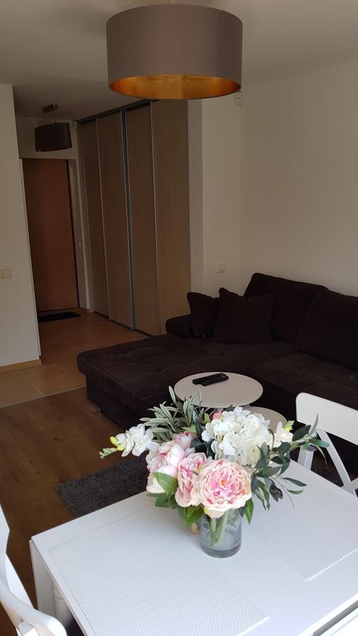 Cozy Garden Free Parking Apartamento Vilnius Exterior foto